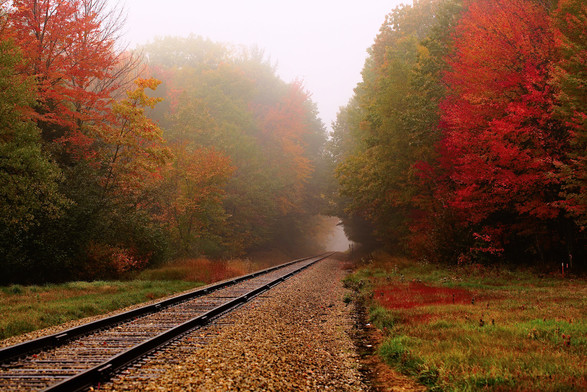 Rail tracks disappearing through a mist surrounded by trees changing colour from green to red and orange 