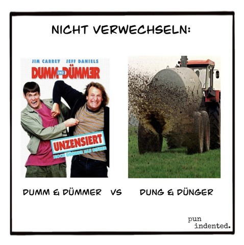 Überschrift: Nicht verwechseln. Ein Filmposter. Daneben ein Foto von einem Traktor, der Gülle auf einem Feld ausfährt. Bildunterschrift: Dumm und Dümmer versus Dung und Dünger.