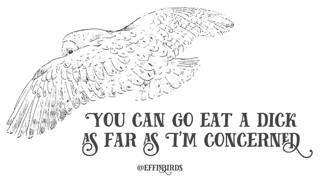 A woodcut of an owl above the text "you can go eat a dick as far as I'm concerned"