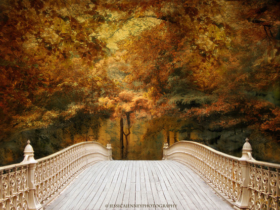 A lovely Pine Bank arch footbridge in a fantasy fall forest.
By Jessica Jenney