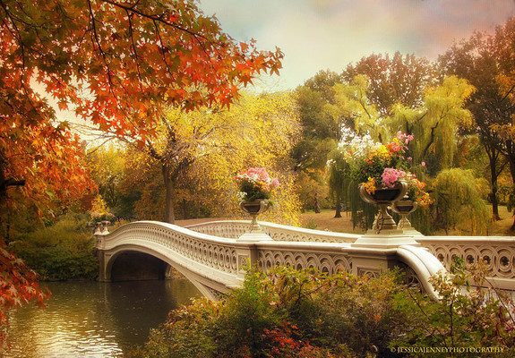 Iconic Bow Bridge in autumn in Central Park NY
By Jessica Jenney
