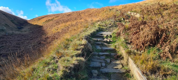 A rough stone path curves up a moorland hill. There is vegetation - grasses, ferns - on either side of the path but they're wearing their late autumn colours: the grass is pale and yellowed, the ferns dry and brown. It's a sunny day so most of the picture is brightly lit in golden light but the far left, where the ground climbs into a hill, is in the shadow the hill is casting.