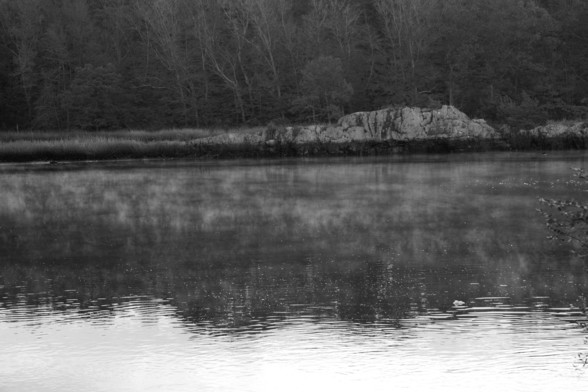 Mist on the water, with rocs and trees in black and white