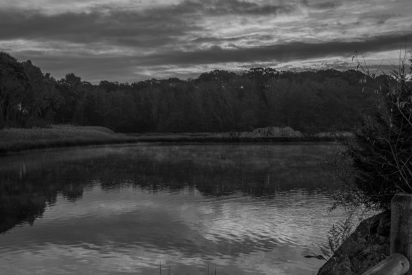 Took some PP to get the dynamics out of this one but the information was all in the raw data (the JPG output is uneditable vs raw)