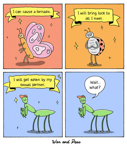 4 panel comic by War and Peas. 1. A shiny butterfly: "I can cause a tornado!" 2. A ladybug: "I will bring luck to all I meet." 3. A praying mantis: "I will get eatn by my sexual partner." 4. Praying mantis: "Wait, what?"