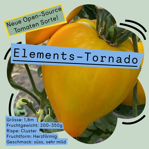Vor einem blassgrünen Hintergrund ist ein Ausschnitt eines Fotos mit gelben saftigen herzförmigen Tomaten zu sehen. Darüber ist oben Link der Text zu lesen "Neue Open-Source Tomaten Sorte!" und darunter der Name der neuen Tomatensorte: Elements-Tornado. 
Unten links stehen weitere Eckdaten: 
Größe: 1,80 Meter 
Fruchtgewicht: 200-350 gramm 
Rispe: Cluster 
Fruchtform: Herzförmig 
Geschmack: Süß, sehr mild 
