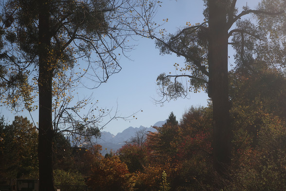 Blick in Richtung Botanischer Garten und Berge