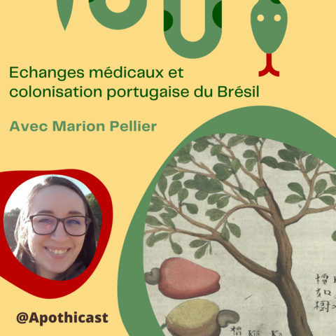 Vignette de l'épisode. Portrait de Marion Pellier et image d'un anacardier.
