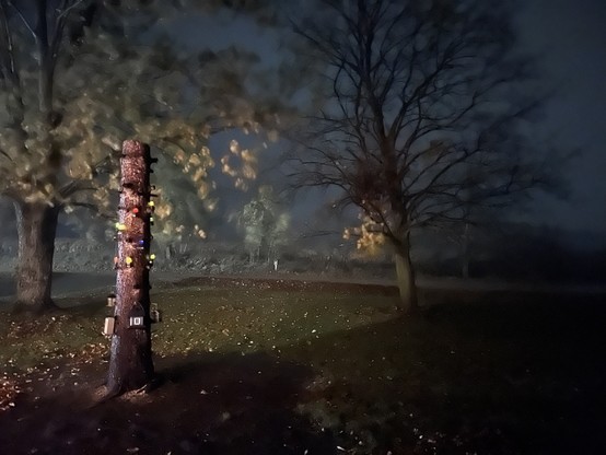Looking out the window at the storm. iPhone long exposure caught a ghostly view of wind, rain, and leaves a blowin in our front yard. The trees are pretty leafless now. 
