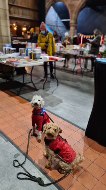 Orange tiled strip on a stone floor, gothic arched pillars in stone out of focus in rear of shot, stone walls and blurred lights, temporary tables piled with books are in background along with rainbow bunting and people standing perusing the books.  In focus front of shot on the floor are two dogs, both with red jackets and black leads, one dog has a small blue light on her harness. One dog is a beautiful light grey Bedlington terrier the other a lovely light brown miniature poodle, both are looking at the camera and are very cute