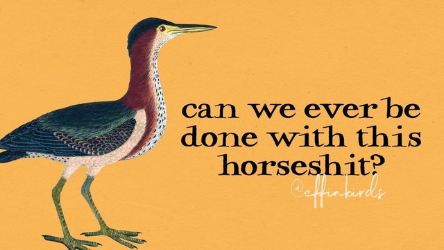 A painting of a bird beside the text "can we ever be done with this horseshit?"