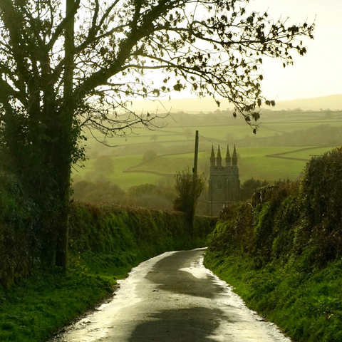 A silver wet lane leads to a church tower.