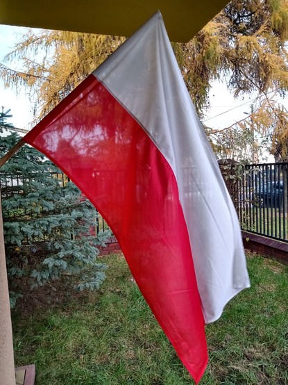 Zdjęcie polskiej flagi wiszącej na domu i lekko powiewającej na wietrze. W tle dwumetrowy świerk na trawniku i płot.