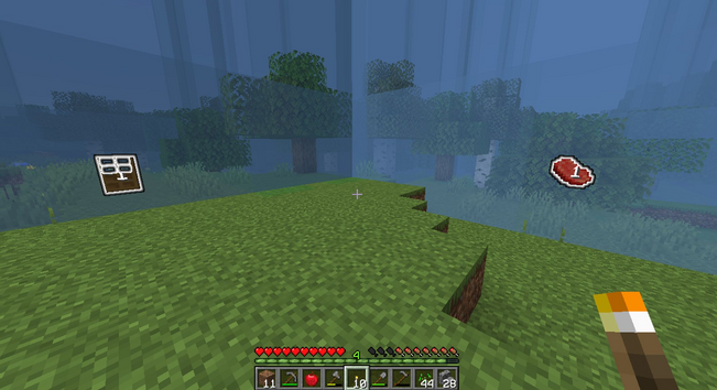 un paysage dans minecraft en survie. la suite est grisée, avec des objets flottants lumineux indiqués sur chaque direction. Que faire ?