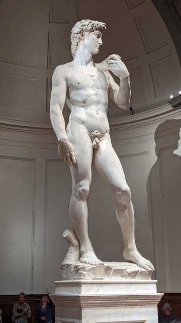 Abgebildet ist die David-Statue, welche in der Galerie der Akademie in Florenz ausgestellt ist. Die Statue ist mehr als 5 Meter hoch, inklusive des Sockels. Auf der rechten Seite ist der Schatten des Davids zu sehen.
Die Statue steht in einer großen Halle unter einem riesigen Kuppel.