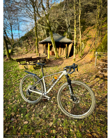 Ein Dropbar Mountainbike auf einem Herbstlaub-übersähten Rastplatz