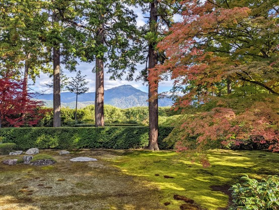 Entsu-ji is famed for its 'borrowed scenery' garden.
Mt Hiei is framed by trees, and 'drawn in' to the garden.