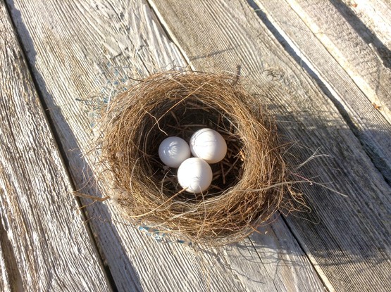 Photo by Karen Ciocca on Unsplash of a nest with three eggs inside on a wood planks