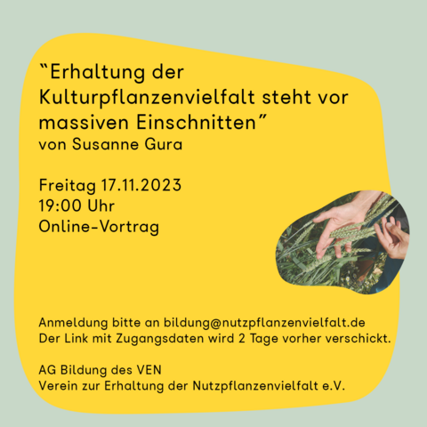 Auf blass grün und gelbem Hintergrund steht: 
"Erhaltung der Kulturpflanzen steht vor massiven Einschnitten", von Susanne Gura. 
Es ist eine Ankündigung für einen Online-Vortrag am Freitag, 17. November 2023 um 19 Uhr. 

Für eine Anmeldung schreiben Sie bitte an Mira Richts an bildung@nutzpflanzenvielfalt.de 
Die Zugangsdaten werden ab 2 Tage vorher online verschickt. 
Es handelt sich hierbei um eine Veranstaltung von der AG Bildung des VEN, Verein zur Erhaltung der Nutzpflanzenvielfalt e.V. 