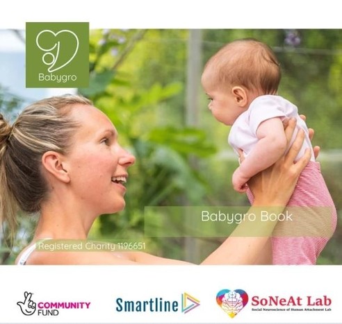 Babygro Book Cover