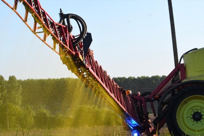 Une pulvérisation de l'herbicide Roundup 720 (glyphosate) sur un champ de maïs à Piace, le 11 mai 2018. © Photo Jean-Francois Monier / AFP