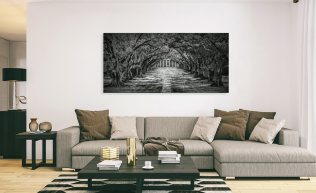 Striking Louisiana Oak Alley Plantation Canopy in Black & White buy here:

https://www.pictorem.com/879943/Oak%20Alley%20Canopy%20in%20Black%20and%20White.html