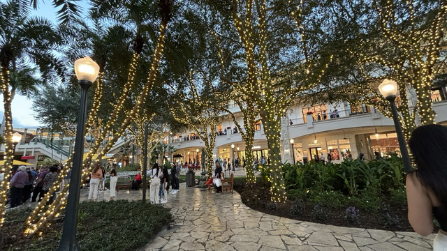 Christmas lights around trees in Coral Gables Merrick shopping center with crowds of people surrounding the area. 