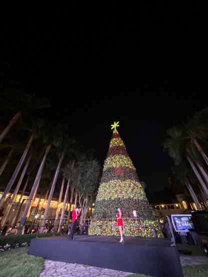 Well lit Christmas tree as the two singers close off the event.