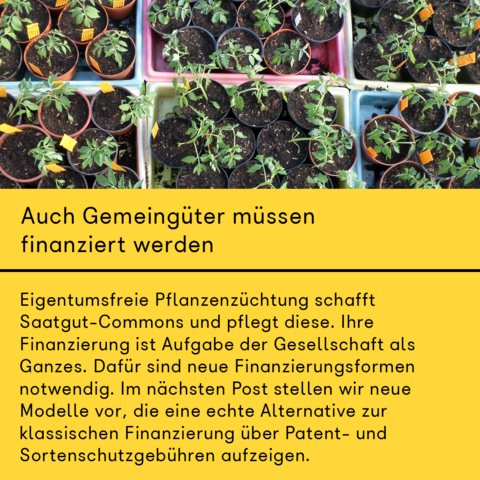 Im oberen Drittel Teil des Bildes ist ein Fotoauschnitt zu sehen. Dieser zeigt zahlreiche Jungplanzen in kleinen Töpfen. 
Darunter steht, auf gelbem Hintergrund: "Auch Gemeingüter müssen finanziert werden! 
Eigentumsfreie Pflanzenzüchtung schafft Saatgut-Commons und pflegt diese. Ihre Finanzierung ist Aufgabe der Gesellschaft als Ganzes. Dafür sind neue Finanzierungsformen notwendig. Im nächsten Post stellen wir neue Modelle vor, die eine echte Alternative zur klassischen Finanzierung über Patent- und Sortenschutzgebühren aufzeigen." 