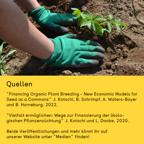 Das Bild zeigt im oberen Teil eine junge Pflanze die in draußen in die Erde eingepflanztz wird, von Händen mit grünen Handschuhen. 

Darunter steht die Quellenangabe der letzten Posts, welche auf (mit Link) Im Text-Teil des Postes genannt sind. 