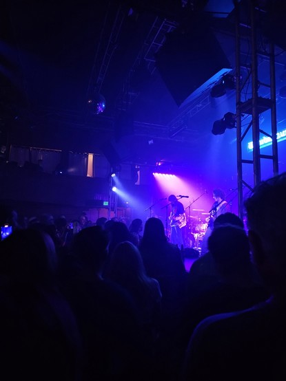 Opening Act - Dogs In A Pile