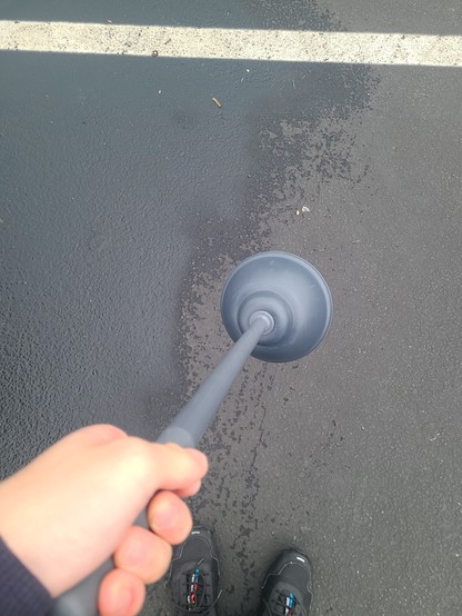 A hand carrying a plunger