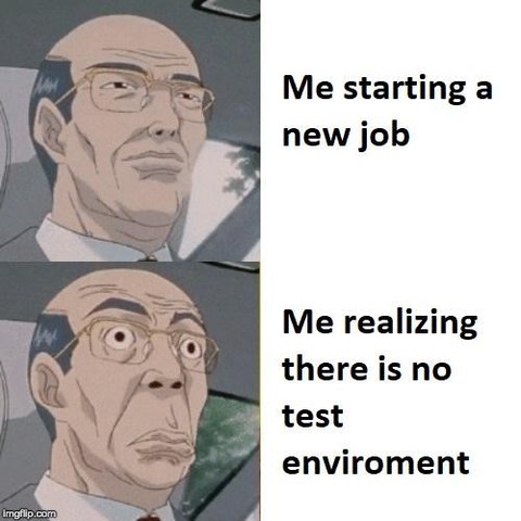 This meme describes a software developer's experience in two panels. The first panel shows a happy developer saying, "Me starting a new job." The second panel shows the same developer upset after realizing that there is no test environment available.
