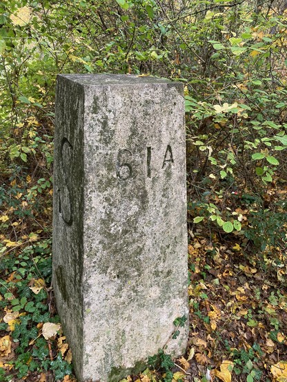 Swiss/French border stone 61A near to the Bardonnex motorway border passage point, in the woods, covered in light lichen. It dates to 1993 when the border was moved to allow for the construction of the new motorway. The side showing the letter S, for Switzerland, is visible. Autumn leaves rest on the ground.