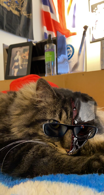 Skimble the “One Eared Angel” trying to be hip with a Terminator filter