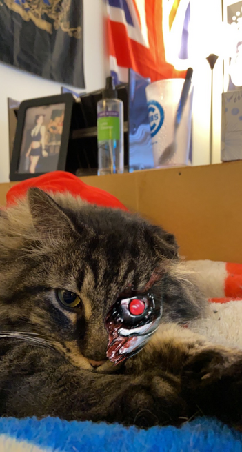 Skimble the “One Eared Angel” trying to intimidate with a Terminator filter