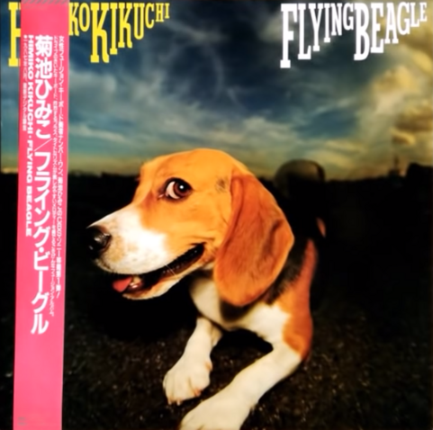 Cover art for album Flying Beagle. It shows the half-profile of a beagle turned toward its right and looking to its left, with its mouth partially open and its tongue slightly sticking out. The beagle is light-brown, white, and black. Behind the beagle is a darkened outdoor scene under a slightly bright sky (either sunrise or sunset, it is not clear). 

Text, upper-left: Himiko Kikuchi (yellow, serif block letters, with the bottom of each letter within each word getting progressively shorter, so it has an "upside-down steps" look. 

Text, upper-right: Flying Beagle (white color, otherwise same style as left side)

The left side of the album has an obi strip--"a piece of paper wrapped around the spine of Japanese CDs, DVDs, movies, or books sometimes referred to as a "spine card"." The front of this one is dark pink and has text mostly in Japanese but also lists in English tjhe text the artist and album name. It is wrapped from bottom-to-top around the outside of the album, is ~5cm thick, and partially obscures the text at the top-left. 