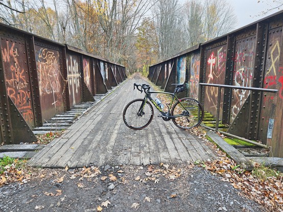 Sissy Danforth / Rivergate trail trestle