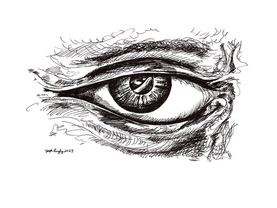 This is my eye drawing (in pen) for November 19, 2023. It is a shaded human eye with an exaggerated iris and pupil. The pupil contains an unidentifiable reflection. The shading is gestural.