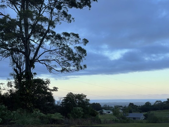 A picture of a tree at dust, slightly overcast with the view of the ocean below