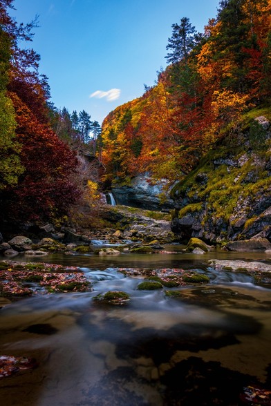 You can see a river flowing with Autumn trees and vegetation on its sides.