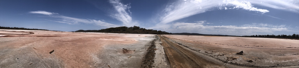 Panorama of a vast salt lake in Western Australia, featuring rich pinks and whites and prominent blue sky