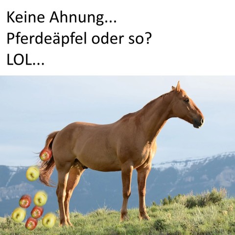 Ein Pferd steht auf der Wiese, hinten kommen Äpfel raus.
"Keine Ahnung… Pferdeäpfel oder so? LOL"