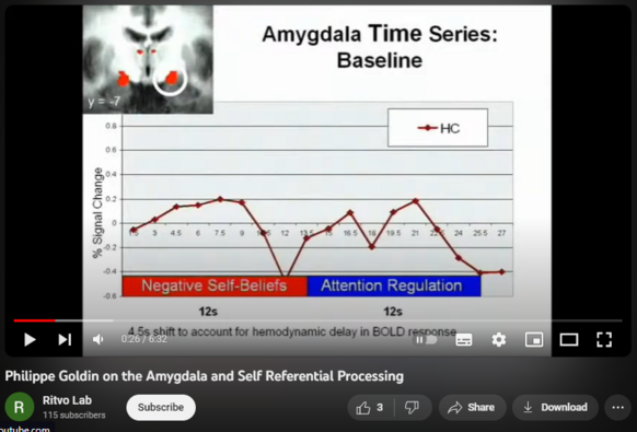 Philippe Goldin on the Amygdala and Self Referential Processing

298 views  25 Jan 2014
https://www.youtube.com/watch?v=hcWjsoX5LQs