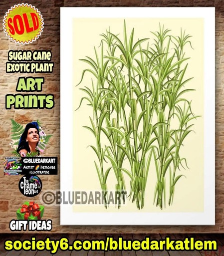 Sugar cane exotic plant, Design Copyright BluedarkArt TheChameleonArt ● Art Prints available for sale in the BluedarkArt Society6 Shop