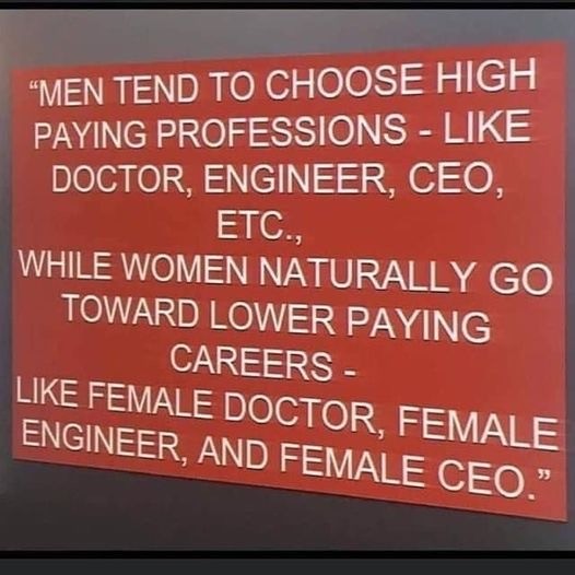 "MEN TEND TO CHOOSE HIGH PAYING PROFESSIONS - LIKE DOCTOR, ENGINEER, CEO, ETC., WHILE WOMEN NATURALLY GO TOWARD LOWER PAYING CAREERS - LIKE FEMALE DOCTOR, FEMALE ENGINEER, AND FEMALE CEO."