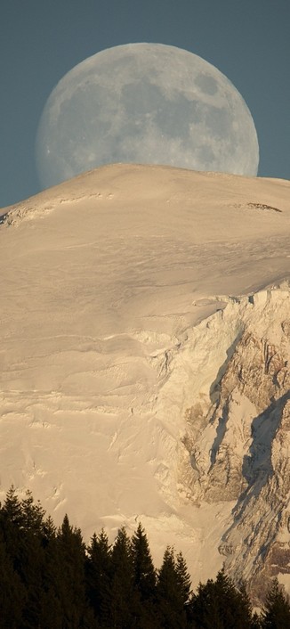 A nearly full Moon against a pale blue sky rising over the top of a dusk orange tinted stratovolcano summit with an evergreen forest in the foreground.