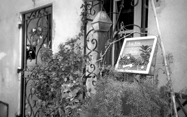 Entrée d'une maison avec grilles, plantes et cadre, noir et blanc