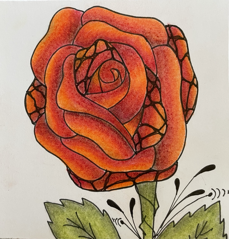 Rose drawing 