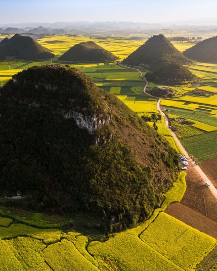 The rapeseed fields (Canola) in Luoping, China